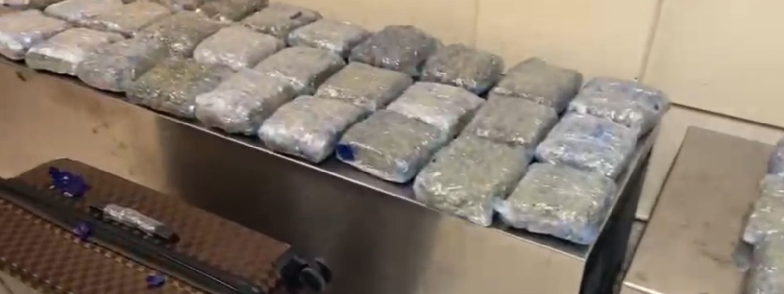 Rs. 320 Million Worth Of Kush Seized At Katunayake